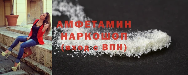ПСИЛОЦИБИНОВЫЕ ГРИБЫ Дмитриев