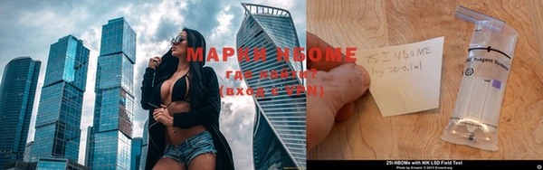 ПСИЛОЦИБИНОВЫЕ ГРИБЫ Дмитриев