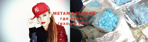 ПСИЛОЦИБИНОВЫЕ ГРИБЫ Дмитриев
