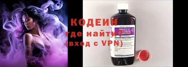 ПСИЛОЦИБИНОВЫЕ ГРИБЫ Дмитриев