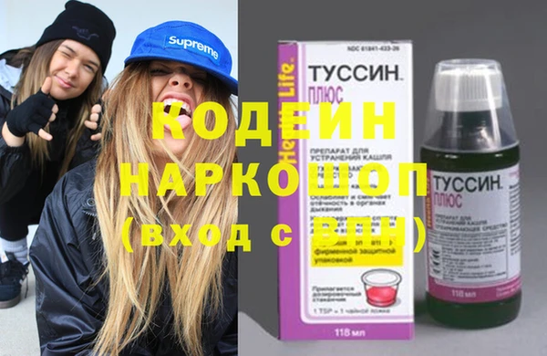 ПСИЛОЦИБИНОВЫЕ ГРИБЫ Дмитриев
