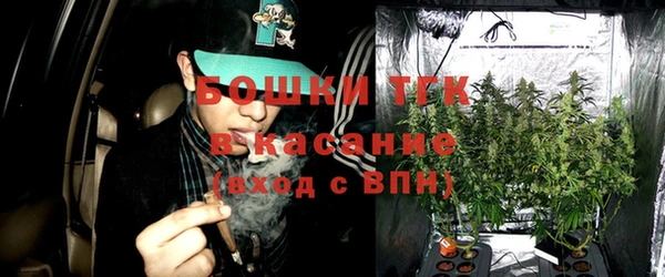 ПСИЛОЦИБИНОВЫЕ ГРИБЫ Дмитриев