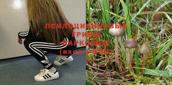 ПСИЛОЦИБИНОВЫЕ ГРИБЫ Дмитриев