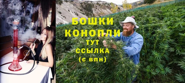 ПСИЛОЦИБИНОВЫЕ ГРИБЫ Дмитриев