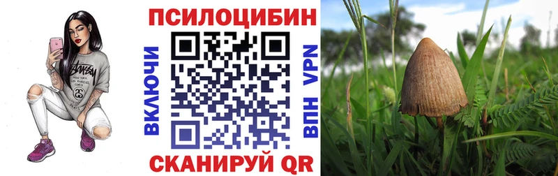 ссылка на мегу ССЫЛКА Заринск Галлюциногенные грибы Magic Shrooms